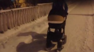 Лыжи для коляски