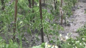 Град в городе натворил не мало бед - смотрите видео града