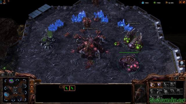 Starcraft II gameplay 05-14