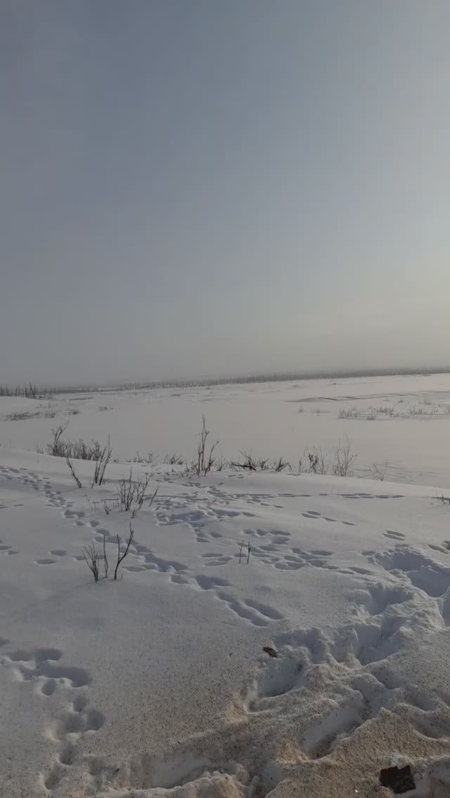 Река Омнутах. 09.04.2022