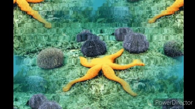 Пророчество на 2021 год по последнему откровению Давида Вилкерсона смотреть онлайн