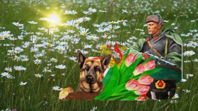 Поздравление С Днем Пограничника! 28 Мая день погран войск поздравление смотреть онлайн
