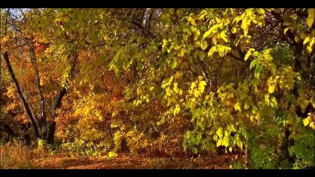 Смысл и законы достойной речи. Ежедневный урок. Урок16