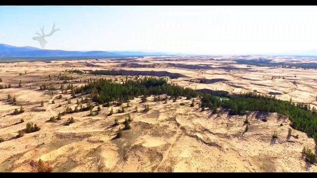 Забайкальский край. Урочище Чарские Пески