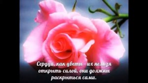 Романс Любви Жизни!