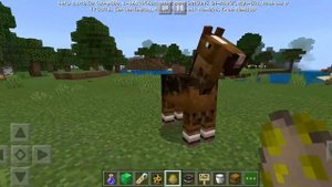 3 ПРИКОЛА С БИРКАМИ В МАЙНКРАФТ!!!