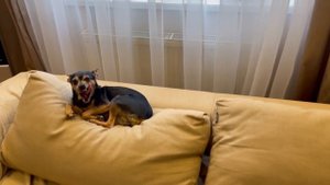 Маша заболела ? || Где ПАПА? || нас засыпало снегом - закупаем продукты  || НАША МАША влог