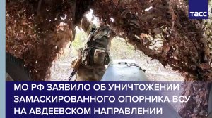 МО РФ заявило об уничтожении замаскированного опорника ВСУ на авдеевском направлении