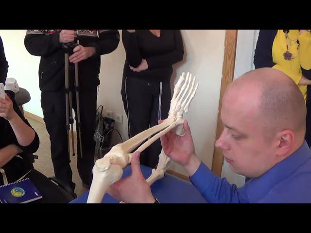 Семинар остеопатия МИОФАСЦИАЛЬНЫЕ ЦЕПИ МФЦ_30 смотреть онлайн