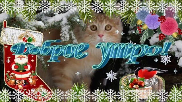 Доброе зимнее утро! Музыкальная открытка с пожеланием доброго утра, хорошего дня!