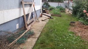 Мой маленький сад и огород 1 сентября.