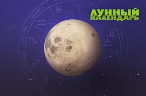 Лунный посевной календарь на май 2024, календарь огородника