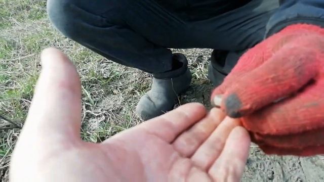Коп на Шаповаловке, серебро, 5 коп масоны