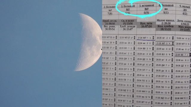 Когда встречать китайский новый год? смотреть онлайн