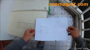 Gold Varroa / Голд Варроа (тимол) 10 пластин 'полоски против клеща у пчел'