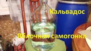 Яблочный Самогон или Кальвадос в домашних условиях