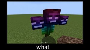 what if you create a WITHER ENDERMAN in MINECRAFT