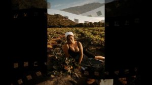 Кому нужны скажите старики !