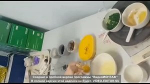 Мазур Анастасия. Февральская естественнонаучная программа, образовательный центр "Сириус"