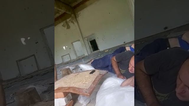 Оса укусила смотреть онлайн