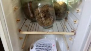 ферментатор из старого холодильника