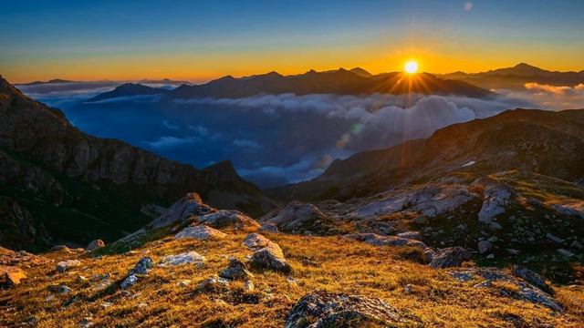 Jordan Critz. Summer Suite смотреть онлайн