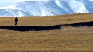 Григорий Димант "Здесь под небом чужим"