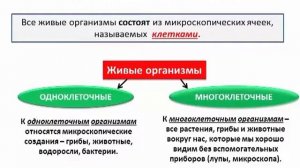 Наука о живой природе   Биология 5 класс #1   Инфоурок