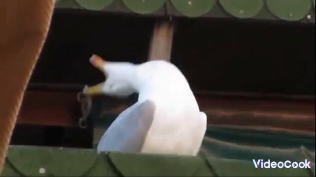 крч тут все смешное. если вам не нравится то я могу сделать такой же, только другой смотреть онлайн