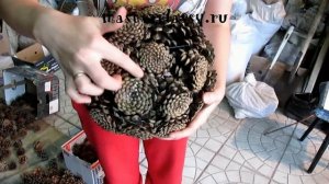 Корзинка из шишек своими руками: подробное видео!