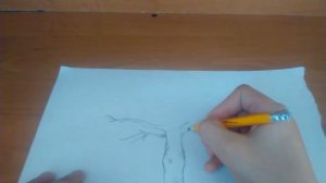 Как нарисовать дерево