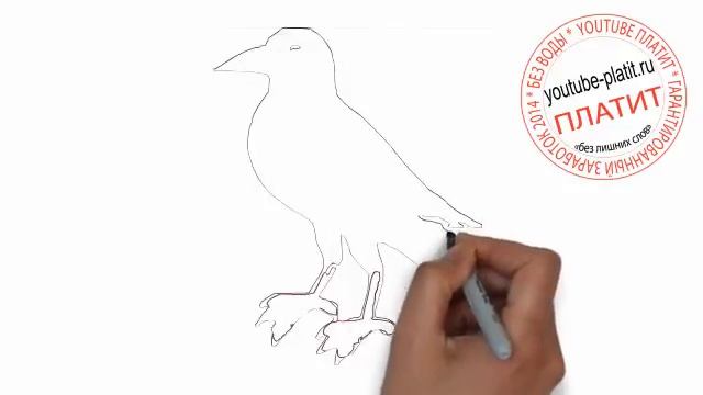 Как нарисовать пушистую галку смотреть онлайн