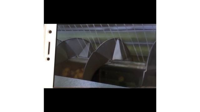 Линия картошки фри смотреть онлайн