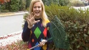 Which Rake to Use for Leaves -  Your YouTube Mom