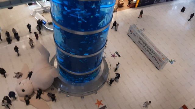 в торговом центре смотреть онлайн