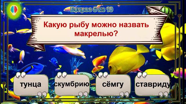 ПРОВЕРЬ СВОИ ЗНАНИЯ. Тест насколько ты умен и эрудирован?Выпуск №17. #Игрыразума