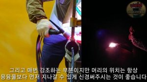 Tig welding stainless pipe. 5G root pass. 65A (2 1_2 inch) SCH10