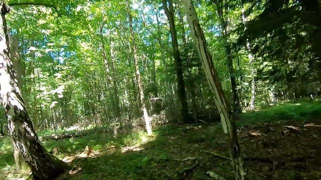 По Білі Гриби і не тільки, відповіді на коментарі смотреть онлайн