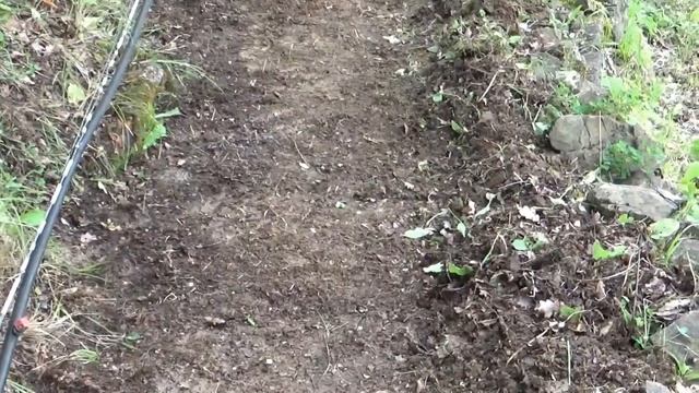 ЭПИЗОДЫ ДЕРЕВЕНСКОЙ ЖИЗНИ