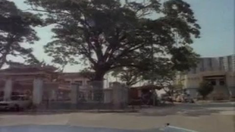 Шокирующая Азия часть 2