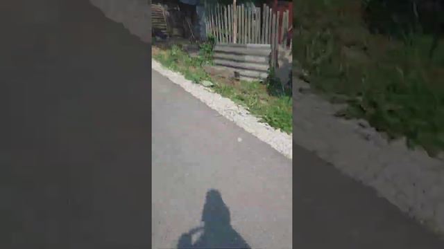 срочная новость сгорела казарма в посёлке ханино смотреть онлайн