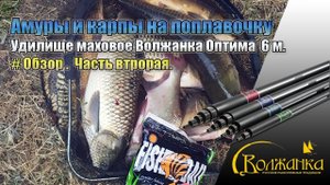 Карпы и амуры на маховую удочку Волжанка Оптима б/к 6.0м (6 секций) тест до 25гр