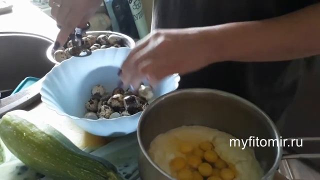 Ножницы для перепелиных яиц смотреть онлайн