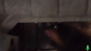 Замена масла Suzuki Grand Vitara