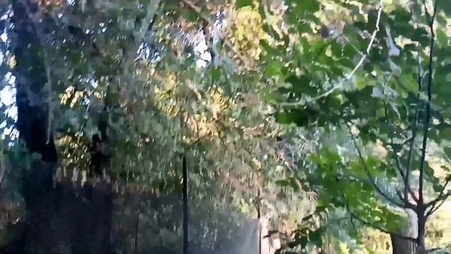 На кого я похожа?/Белка/ну мы поплыли))) смотреть онлайн