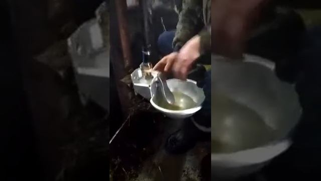 Установка поилки для коров