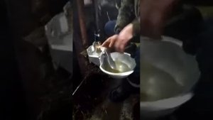 Установка поилки для коров