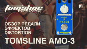 Обзор педали эффектов TOMSLINE AMO-3