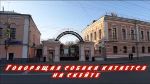 Говорящая собака катается на скейте.mp4