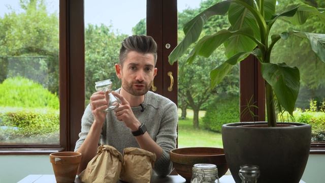 How to Grow Hyacinths  Everything You Need to Know!  Guide to Growing Indoor Hyacinth Bulbs!